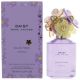 Marc Jacobs Daisy Fresh Twinkle EDT Spray 75ml